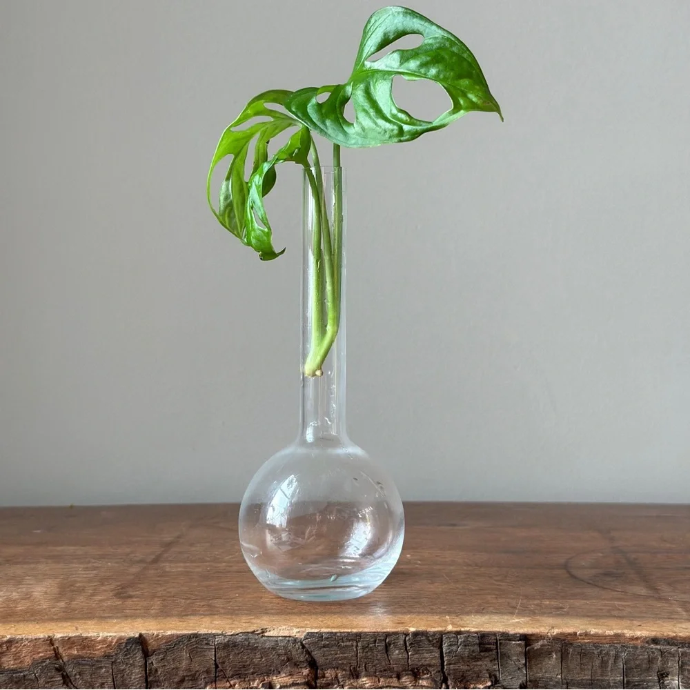 Vintage Clear Glass Propagation Vase Plant Bud Vase
